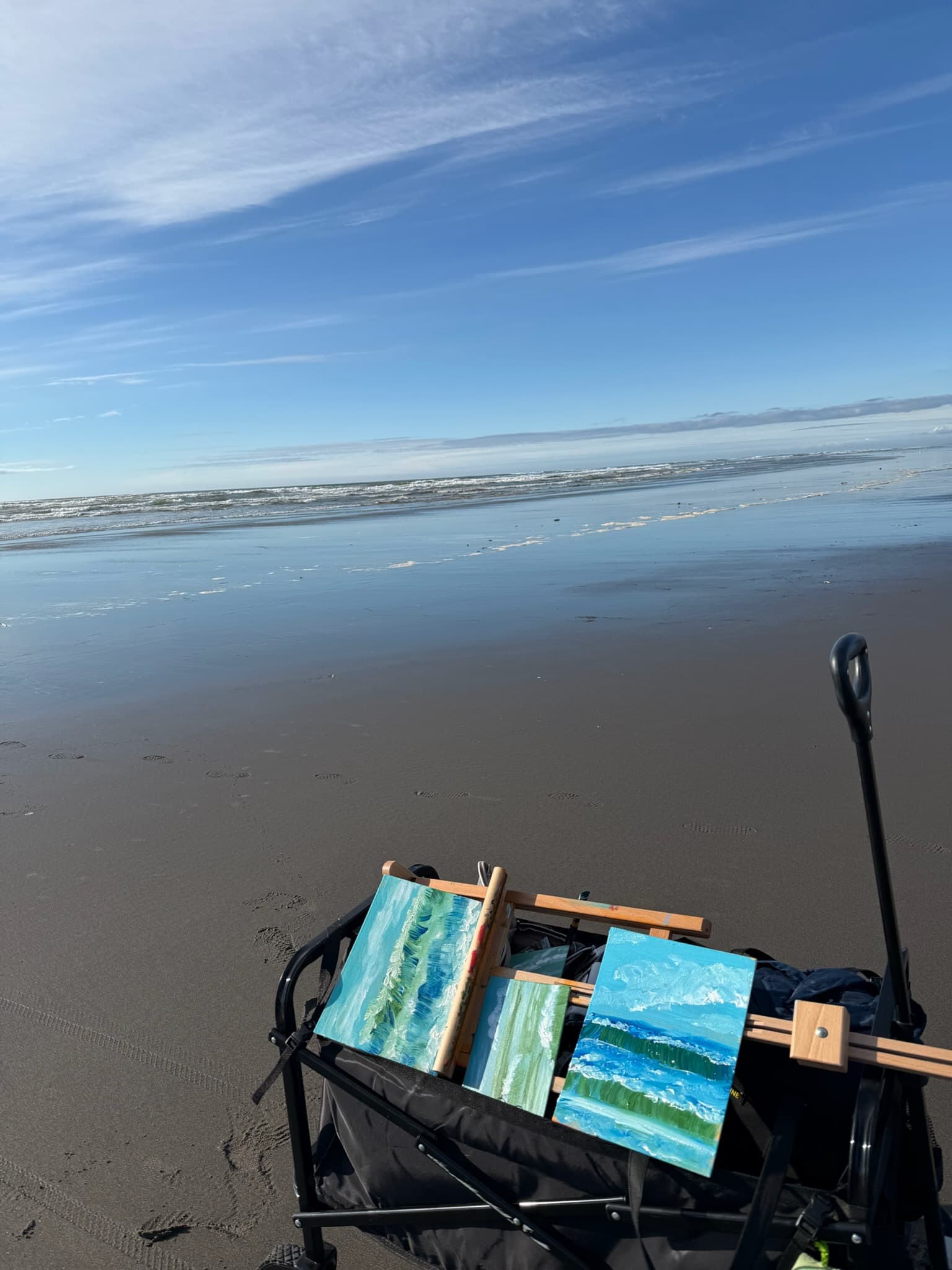 Artwork by Sel Tasteme titled Beach Painting Haul.
